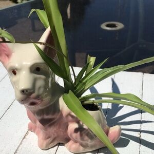 Vtg Pottery Scotty Dog Planter Live Green Spider Plant 50s Kitsch Pink Decor